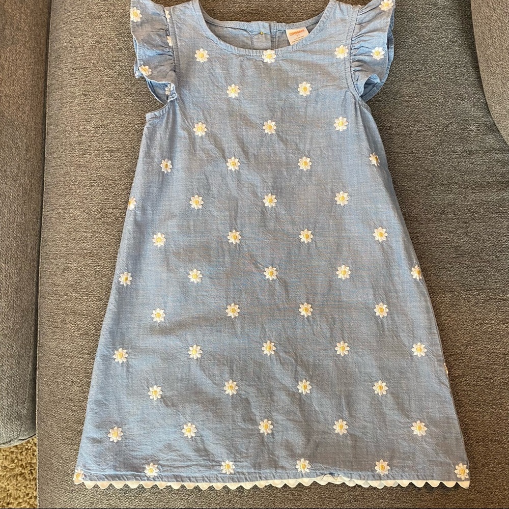 Gymboree Girl’s Embroidered Chambray Dress